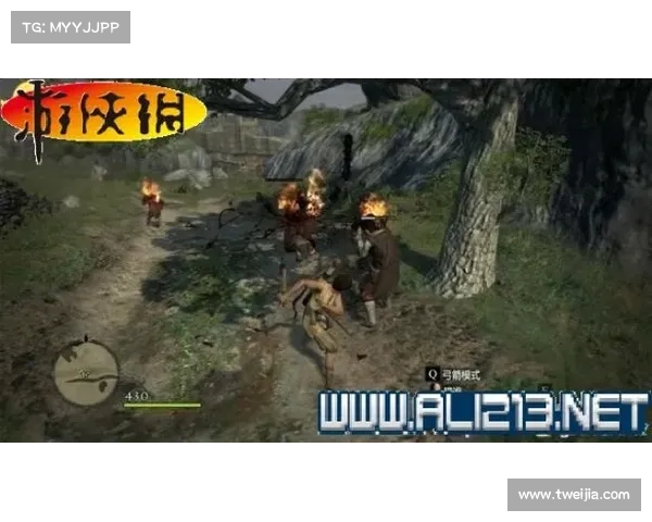 荒野迷踪:黑暗之巅的攻略之途 荒野迷踪:黑暗之巅的攻略之途